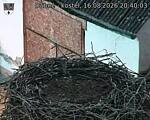 Capi_Dubne_20260816_204003.jpg