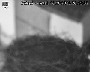 Capi_Dubne_20260816_204502.jpg (1350&nbsp;x&nbsp;1080)