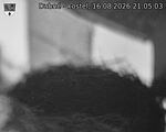 Capi_Dubne_20260816_210503.jpg
