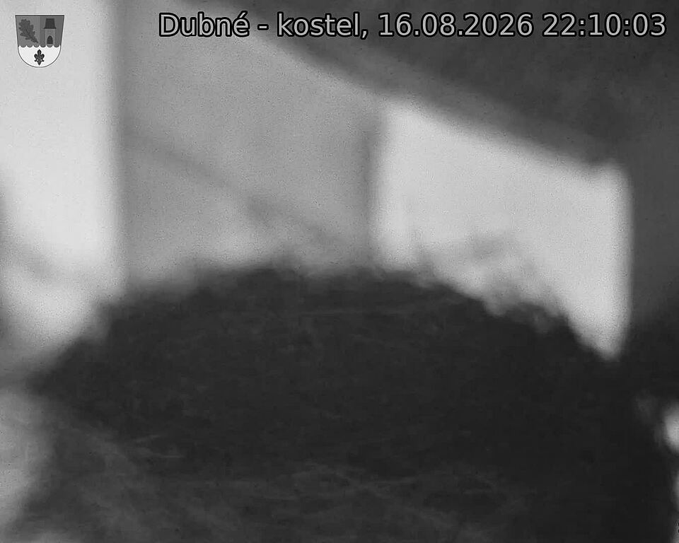 preload