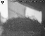 Capi_Dubne_20260817_002503.jpg