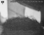 Capi_Dubne_20260817_003002.jpg