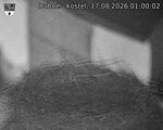 Capi_Dubne_20260817_010002.jpg