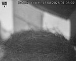 Capi_Dubne_20260817_010502.jpg