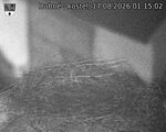 Capi_Dubne_20260817_011502.jpg