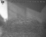 Capi_Dubne_20260817_014002.jpg