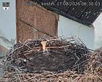 Capi_Dubne_20260817_063003.jpg