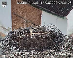 preload
