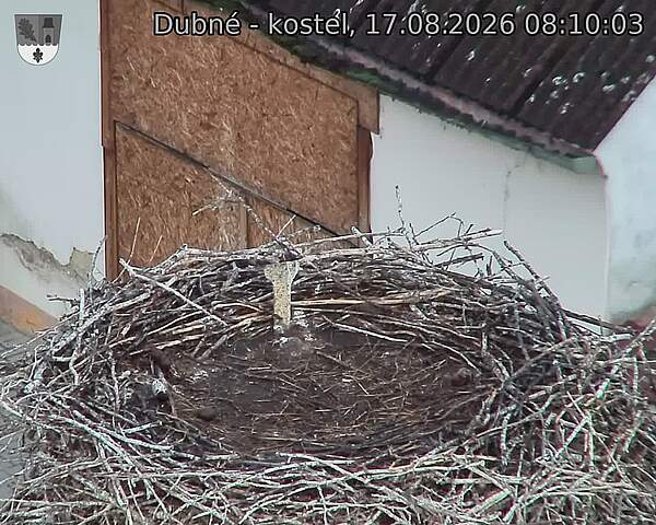 preload