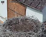 Capi_Dubne_20260817_114005.jpg