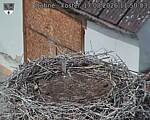 Capi_Dubne_20260817_115003.jpg