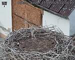 Capi_Dubne_20260817_120003.jpg
