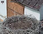 Capi_Dubne_20260817_121003.jpg