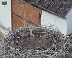 Capi_Dubne_20260817_122003.jpg