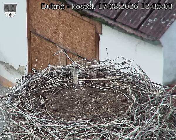 preload