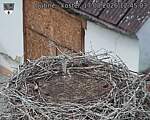Capi_Dubne_20260817_124503.jpg