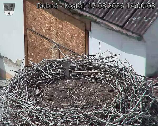preload
