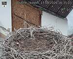 Následující
