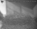 Následující