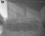 Následující