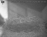 Capi_Dubne_20260818_001503.jpg