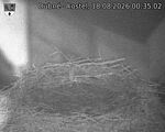 Capi_Dubne_20260818_003502.jpg