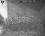 Capi_Dubne_20260818_012002.jpg