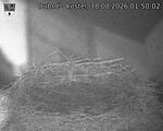 Capi_Dubne_20260818_015002.jpg