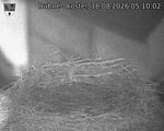 Capi_Dubne_20260818_051002.jpg
