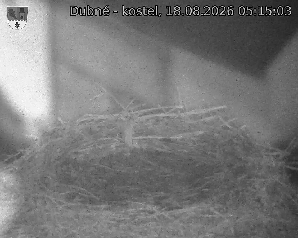 preload