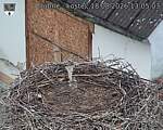 Capi_Dubne_20260818_130503.jpg