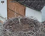 Capi_Dubne_20260818_135503.jpg
