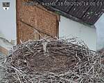 Capi_Dubne_20260818_140003.jpg