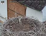 Capi_Dubne_20260818_141005.jpg