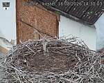 Capi_Dubne_20260818_143003.jpg