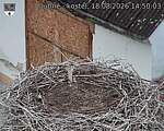 Capi_Dubne_20260818_145003.jpg