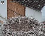 Capi_Dubne_20260818_150003.jpg