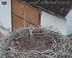 Capi_Dubne_20260818_150503.jpg
