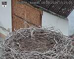 Capi_Dubne_20260818_152505.jpg