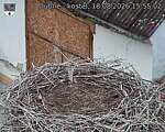 Capi_Dubne_20260818_155502.jpg