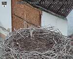 Capi_Dubne_20260818_161003.jpg