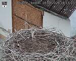 Capi_Dubne_20260818_161503.jpg