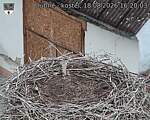 Capi_Dubne_20260818_162003.jpg