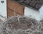Capi_Dubne_20260818_163003.jpg