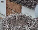 Capi_Dubne_20260818_164003.jpg