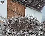 Capi_Dubne_20260818_172003.jpg