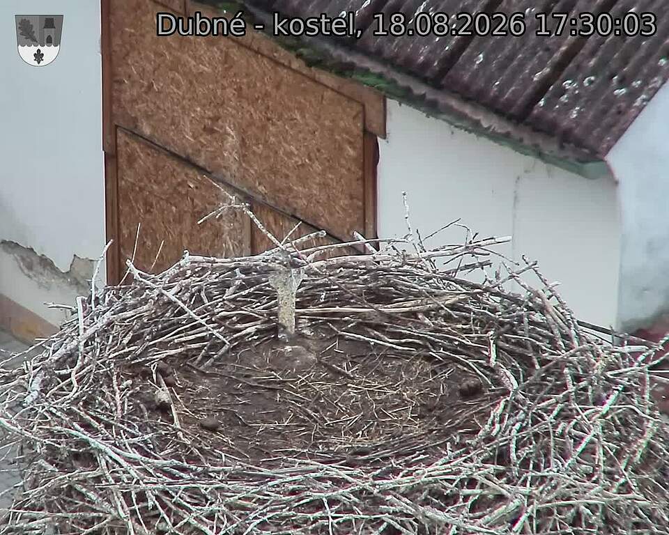 Capi_Dubne_20260818_173003.jpg (1350&nbsp;x&nbsp;1080)