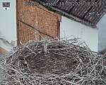 Capi_Dubne_20260818_182003.jpg