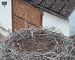 Capi_Dubne_20260818_194003.jpg