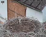 Capi_Dubne_20260818_195003.jpg